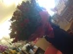 100本の赤いバラで★｜「カシワ花の店」　（大分県大分市の花キューピット加盟店 花屋）のブログ