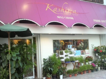 「カシワ花の店」　（大分県大分市）の花屋店舗写真1